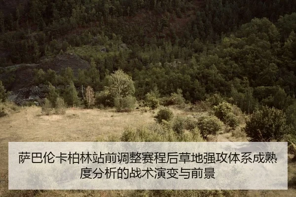 sa-ba-lun-ka-bo-lin-zhan-qian-tiao-zheng-sai-cheng-hou-cao-di-qiang-gong-ti-xi-cheng-shu-du-fen-xi-de-zhan-shu-yan-bian-2-995.jpg